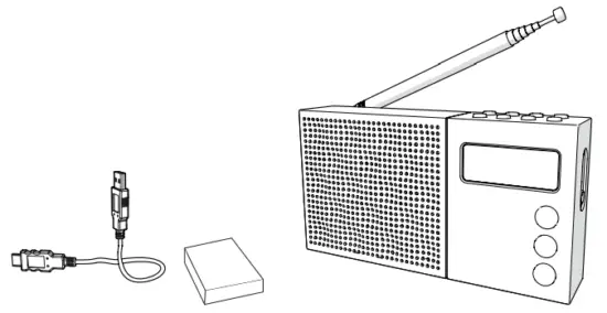 NIKKEI NDB30 Portable DAB Radio Alarm Clock Radio - contents