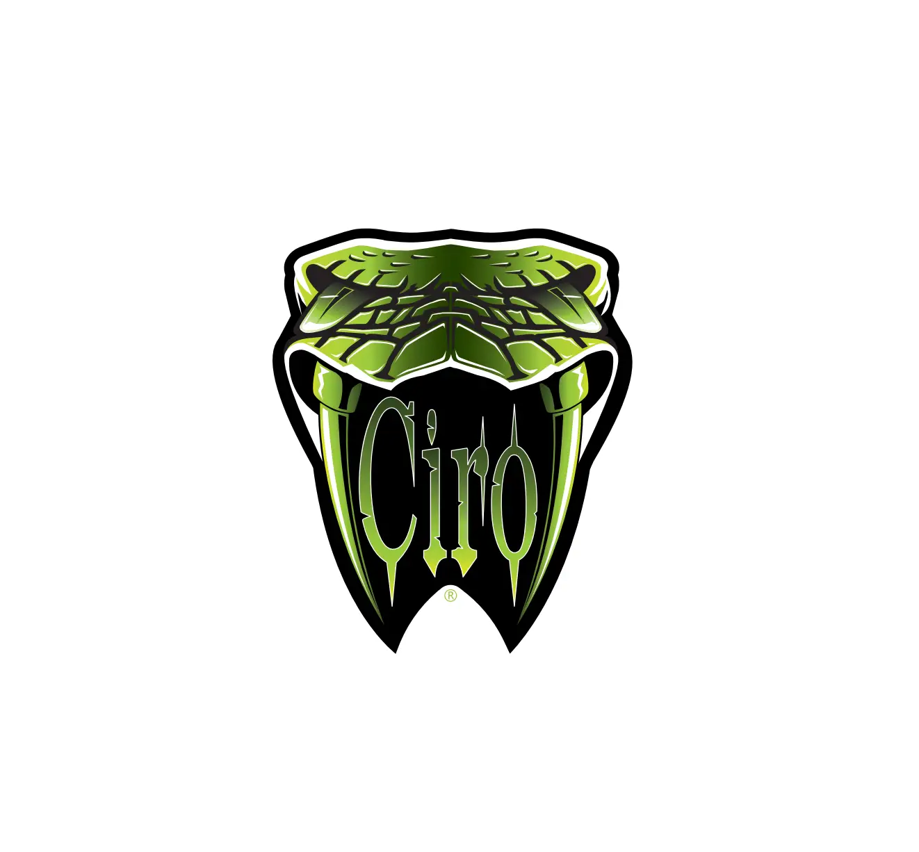 Ciro G0045800 Fang Lower Fairing Lights Instruction Manual