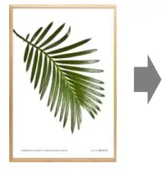 Bonding Forever 28432420 Double-Sided Mounting Tape - 11