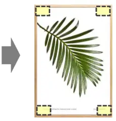 Bonding Forever 28432420 Double-Sided Mounting Tape - 12