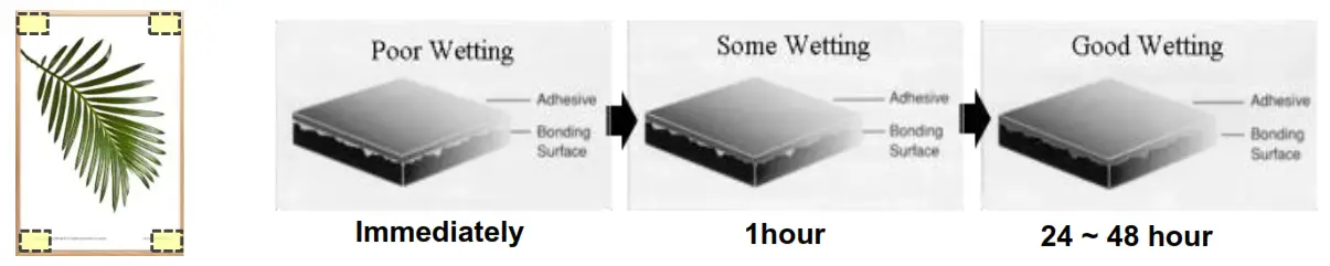 Bonding Forever 28432420 Double-Sided Mounting Tape - 3