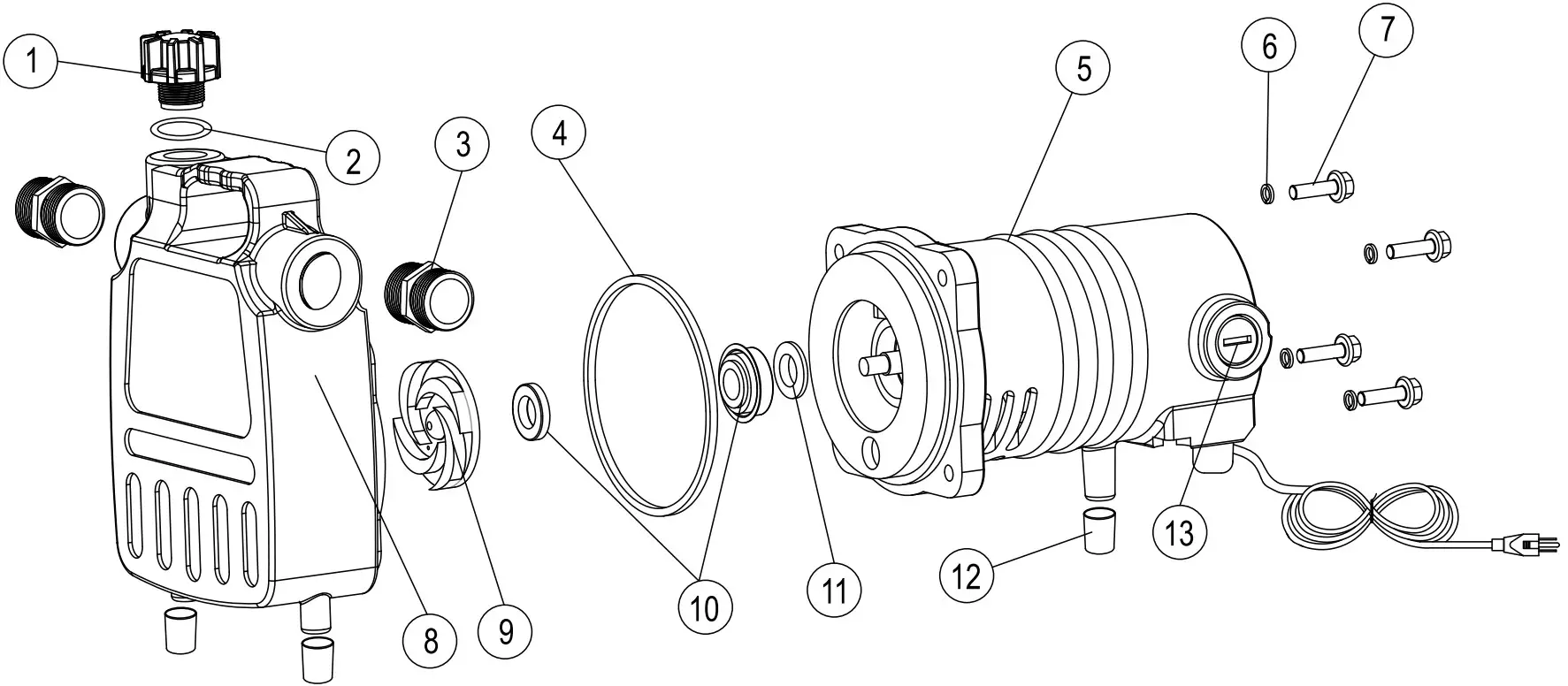 DRUMMOND 63316 Non Submersible Transfer Pump - Figure 3
