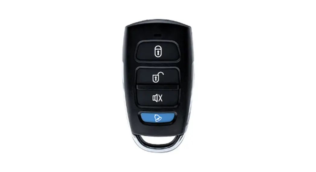 Blaupunkt S01/s02 Vehicle Security User Guide
