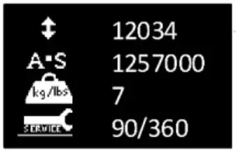 FIG 9 Service information read-out.JPG