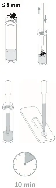 nal 870004N-01-870004N-05 NADAL Borreliosis AG Test-fig2