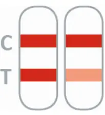 nal 870004N-01-870004N-05 NADAL Borreliosis AG Test-fig3