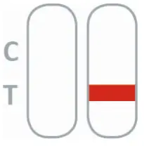 nal 870004N-01-870004N-05 NADAL Borreliosis AG Test-fig5