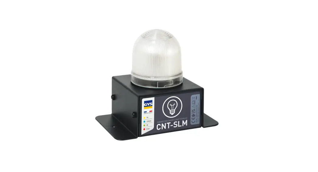 Gys 027978 Smart Light Module Instruction Manual