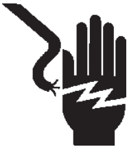 Electrical Shock Icon