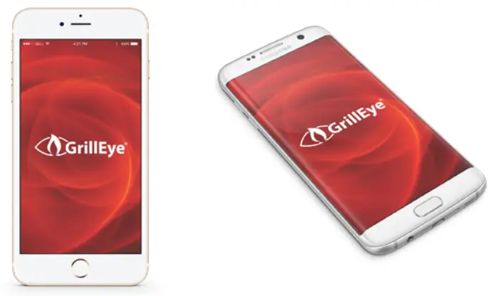 GrillEye GE0001 Smart Bluetooth Grilling-- Follow the instructions