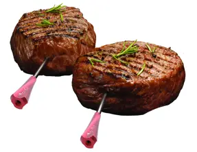 GrillEye GE0001 Smart Bluetooth Grilling-- Requires-52