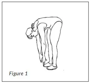 MEDIC ELITE FOLDING TREADMILL User Manual - Figure 1