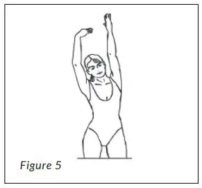 MEDIC ELITE FOLDING TREADMILL User Manual - Figure 5