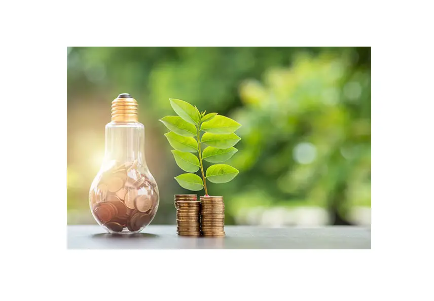 Saving Energy Teacher Guide