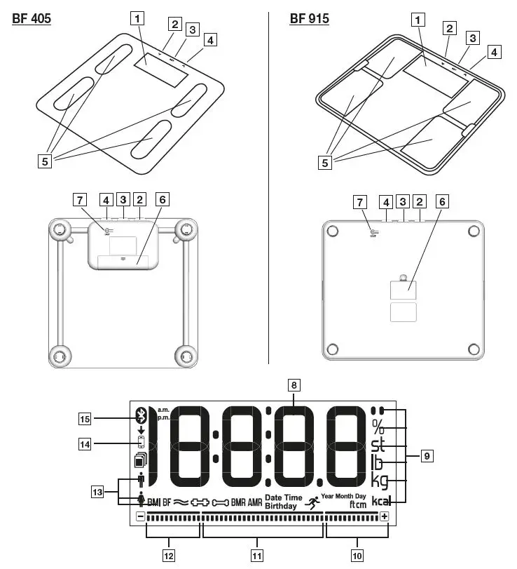 beurer-BF-405-Signature-Line-Digital-Scale-fig-1