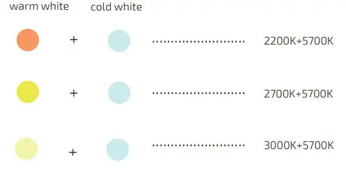 Lighting-Olympia-Fi5-Tunable-white-LED-neon-flex-fig-3