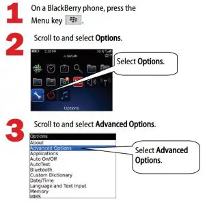 FIG 11 Set Up a BlackBerry Phone — Check Location Aiding