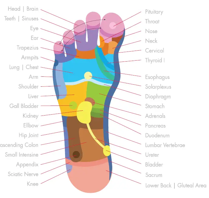MEDCURSOR MDFM400 Shiatsu Foot Massager fig 4