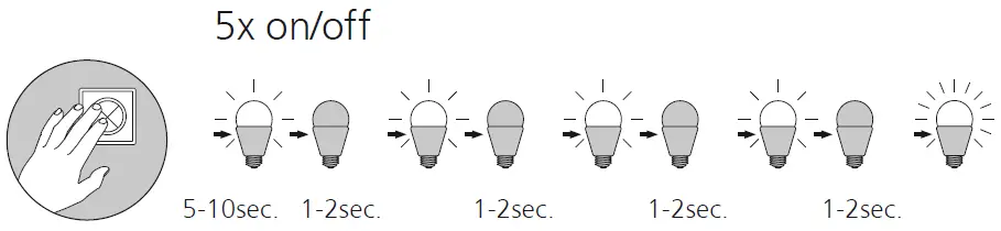 Paul-Neuhaus-8411-55-Q-VITO-LED-Pendant-Light-fig-7