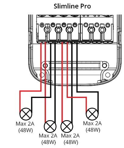 sg 7021988204429 24V 150W Driver Kit Phase Cut - fig2