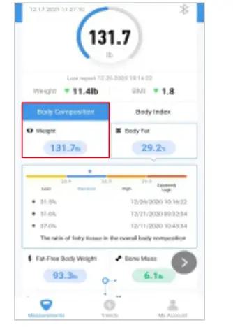 Homebuds HB902 Series Smart Body Fat Scale - fig10