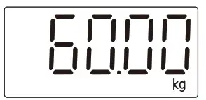 Homebuds HB902 Series Smart Body Fat Scale - fig14