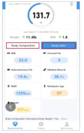 Homebuds HB902 Series Smart Body Fat Scale - fig9
