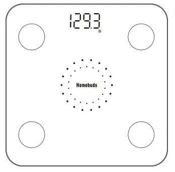 Homebuds HB902 Series Smart Body Fat Scale - fig13