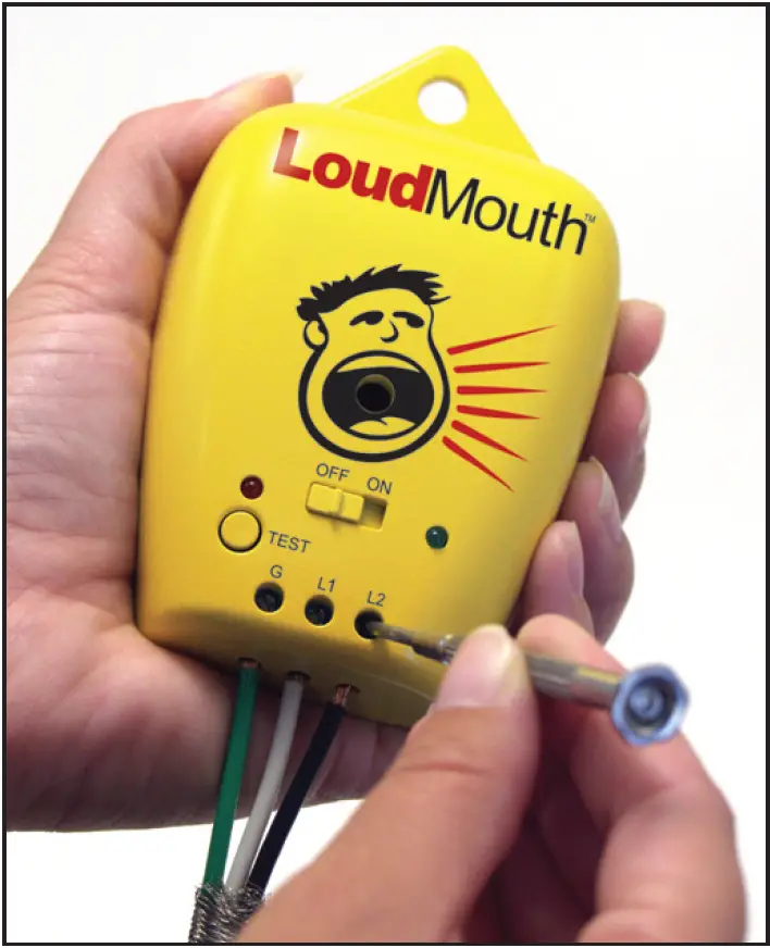 WattsRadiant LoudMouth Monitor 02
