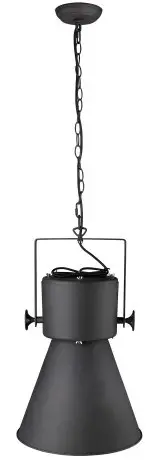 TREND TP10025 Crew 1-Light Matte Black Pendant