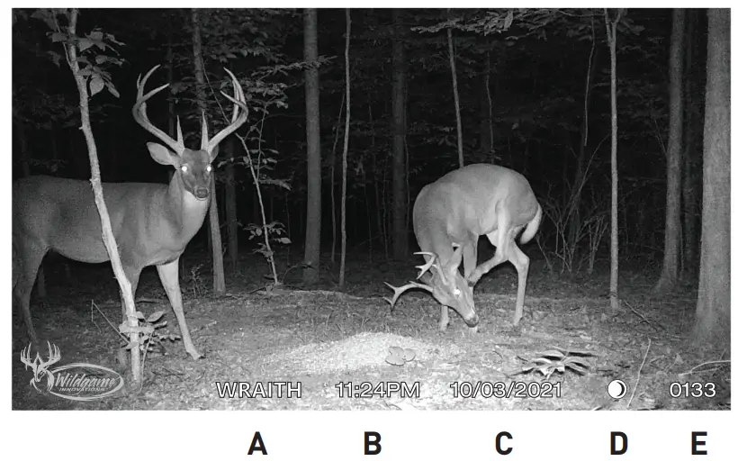 Wildgame INNOVATIONS WRTH2LO Wraith 2.0 20 MP Lightsout Trail Camera - fig 22