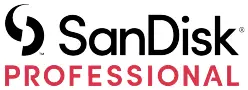 SanDisk Logo