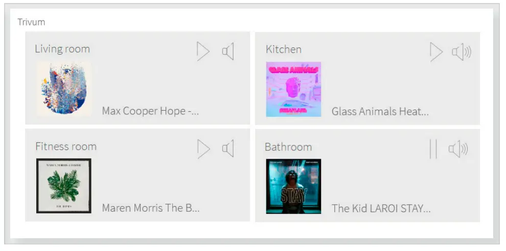 PEAK NX PNX31 10008 YOUVI Trivum Bridge - Installation