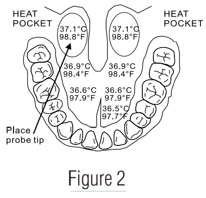ADC Adtemp 415FL Digital Fever Thermometer - Figure 2