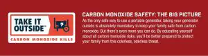 FIG 1 CARBON MONOXIDE SAFETY