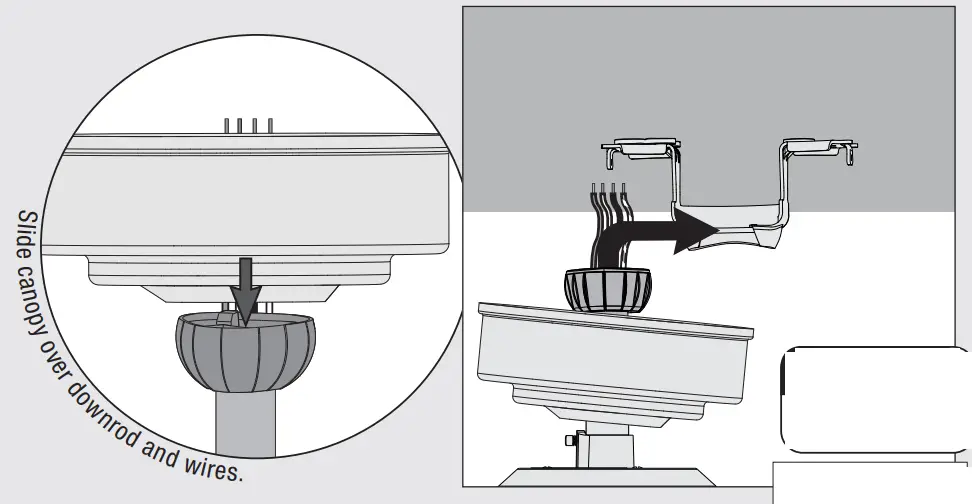 Hunter 51743 Beck Ceiling Fan - Fan