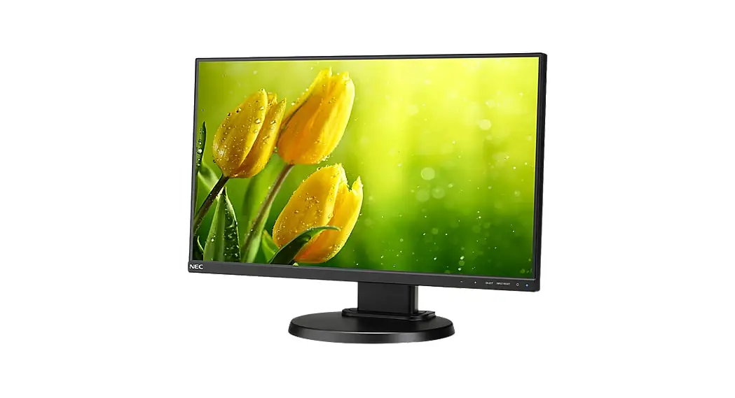 Nec Multisync E221n Desktop Monitor User Manual