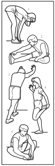 STRETCHING EXERCISES