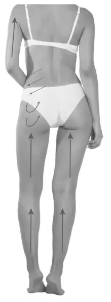 Glo 910 Cellulite Massage Machine fig 8