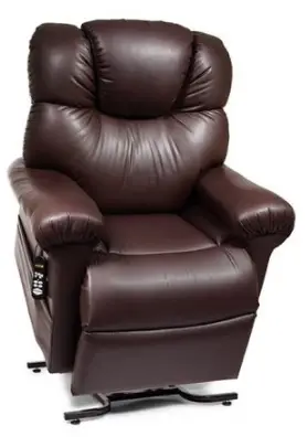 Furniwell-B086LD6F6Z-Power-Lift-Assist-Recliner-product