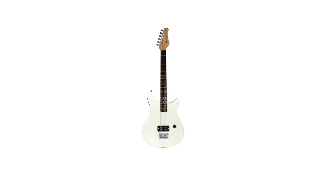 Fretlight 500 Series Electric Guitar User Guide Fretlight 500 Series Electric Guitar User Guide