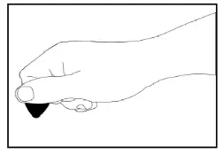 FRETLIGHT 500 Series Electric Guitar - Fig 4