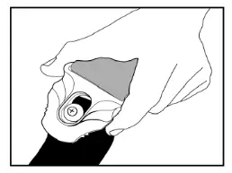 FRETLIGHT 500 Series Electric Guitar - Fig 5