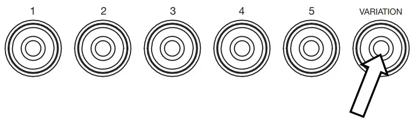 ALESIS DRUMS Turbo Mesh Kit Electric Drum Set - Kit