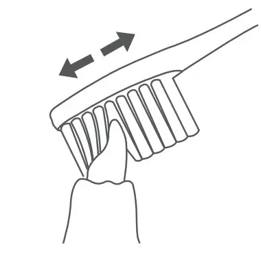 BAFOVY BF-ET03 Electric Toothbrush - Figure 6