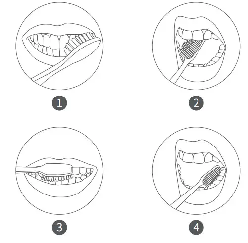 BAFOVY BF-ET03 Electric Toothbrush - Figure 7