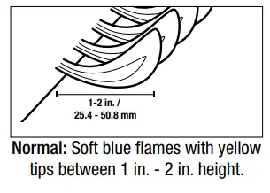 BACKYARD GRILL GBC1646WRBD C Outdoor LP Gas Barbecue Grill-fig32
