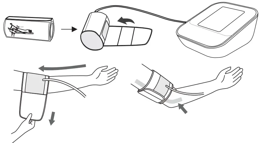 Measurement Procedure