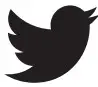 Twitter Icon