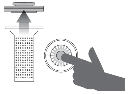 Sage BTM600 Smart Tea Infuse - pressing the button